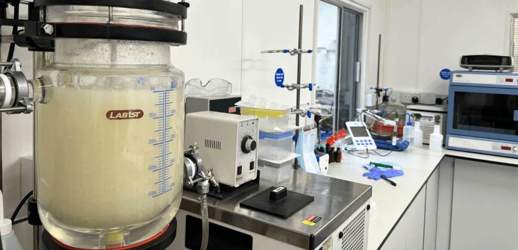 Bio-leaching critical metal extraction in operate in Cellcycle's lab
