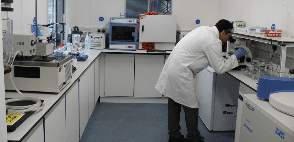 Staff working in the lab