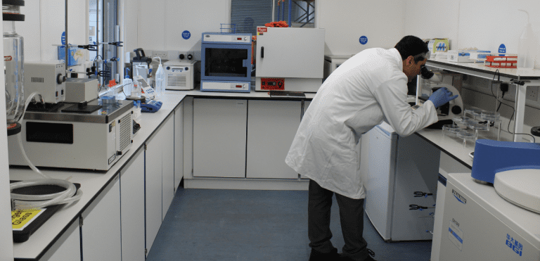 Staff working in the lab